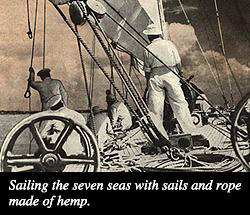 Hemp-BioRefineries